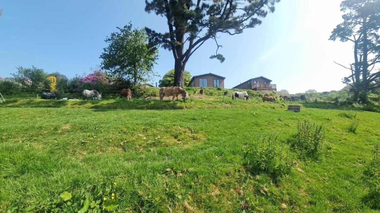 Peacock - Sleeps 4 - 2 Bedrooms * Looe