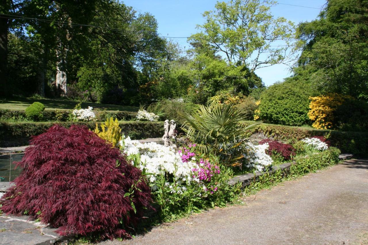 Holiday home Peacock - Sleeps 4 - 2 Bedrooms Looe